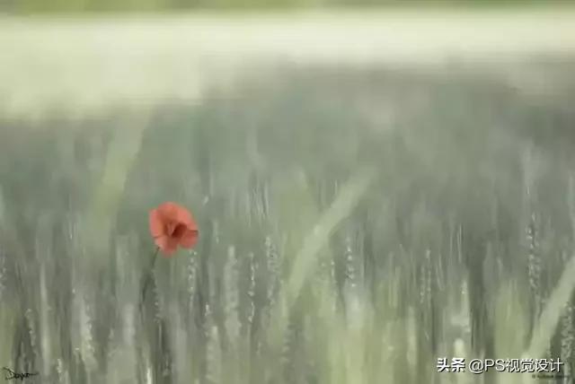 日常照片后期一定要用ps吗,摄影后期修图用ps什么版本