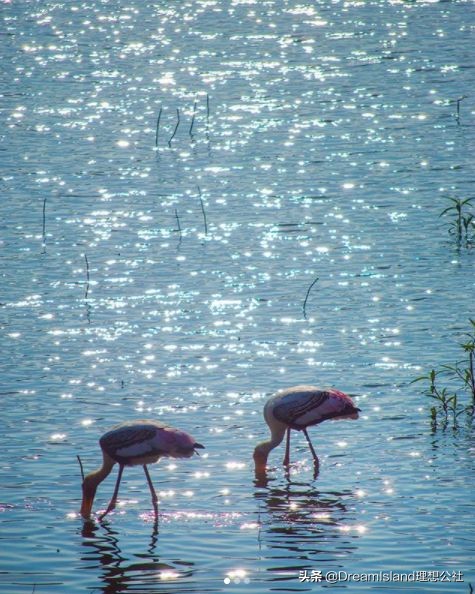 超好用的宝藏单品,拥有这几件单品足够了