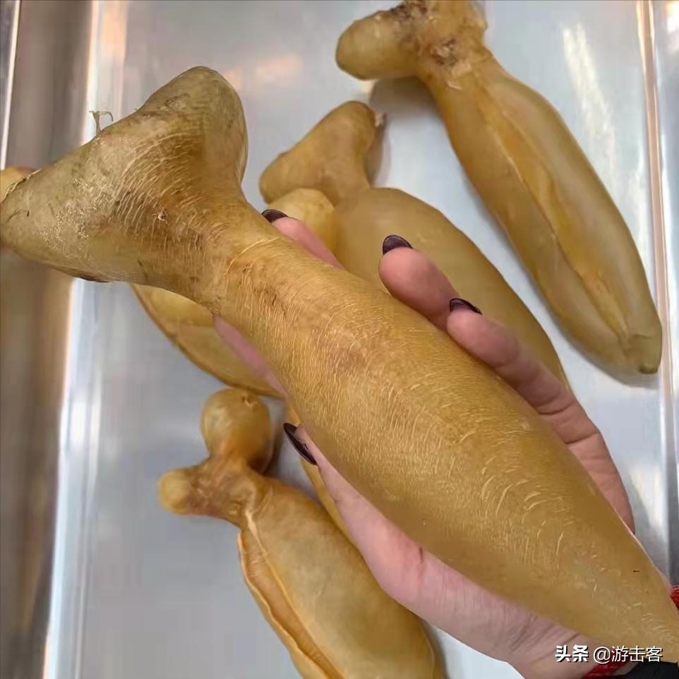 假花胶浸泡后有透明胶,鸡蛋胶假冒黄花胶