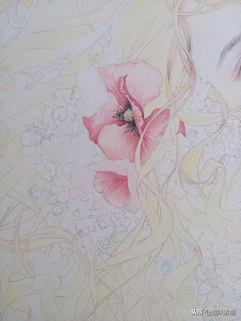 超精细彩铅人像素描,简单又漂亮的彩铅插画