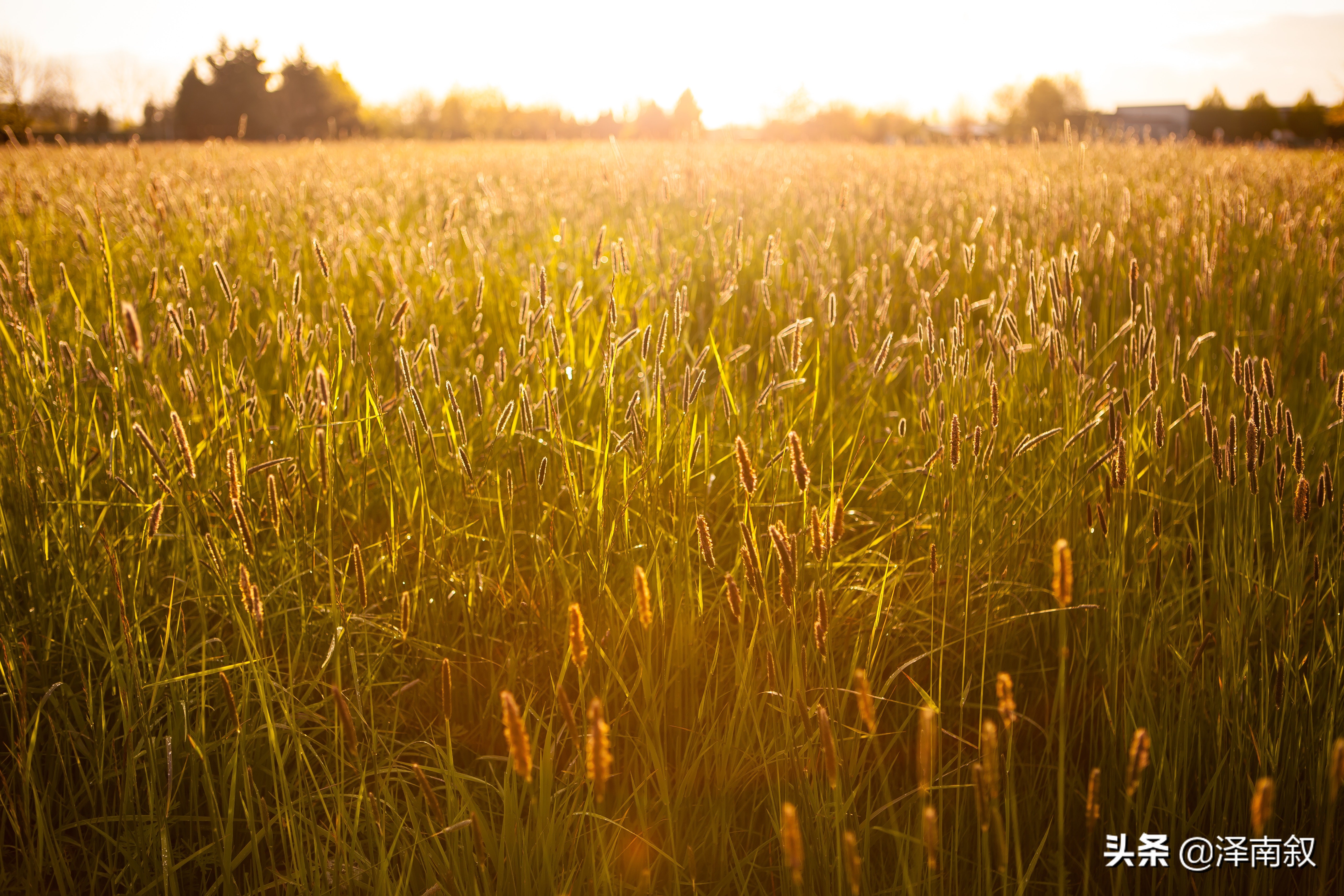 疫情过后一切都会变得更好,疫情要过去了一切都会好起来