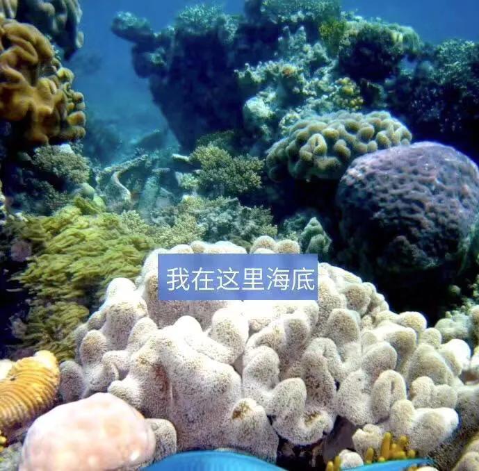 每天都要与大海亲密接触,夏天就应该和大海亲密接触