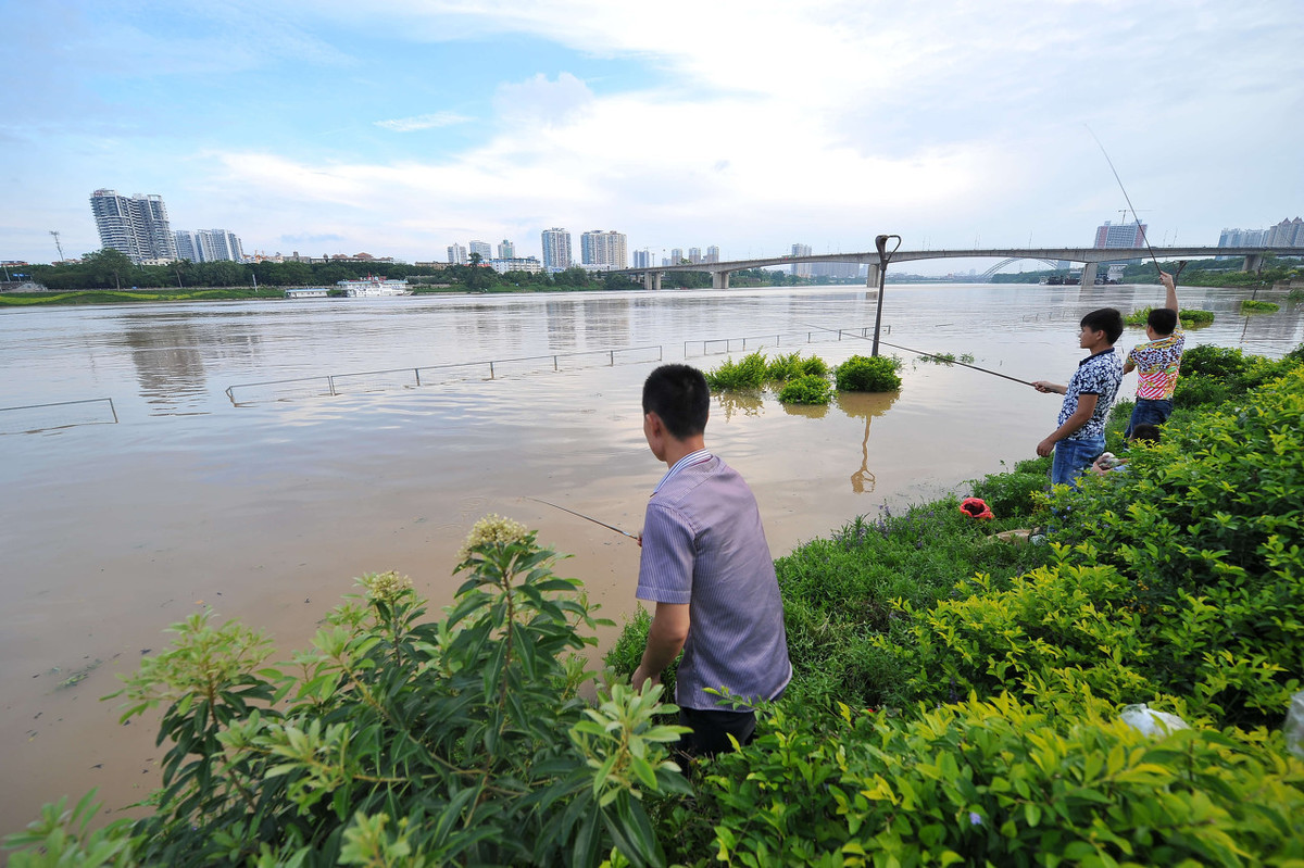 泡药酒用的料,泡窝料中药酒多了会造成死窝吗
