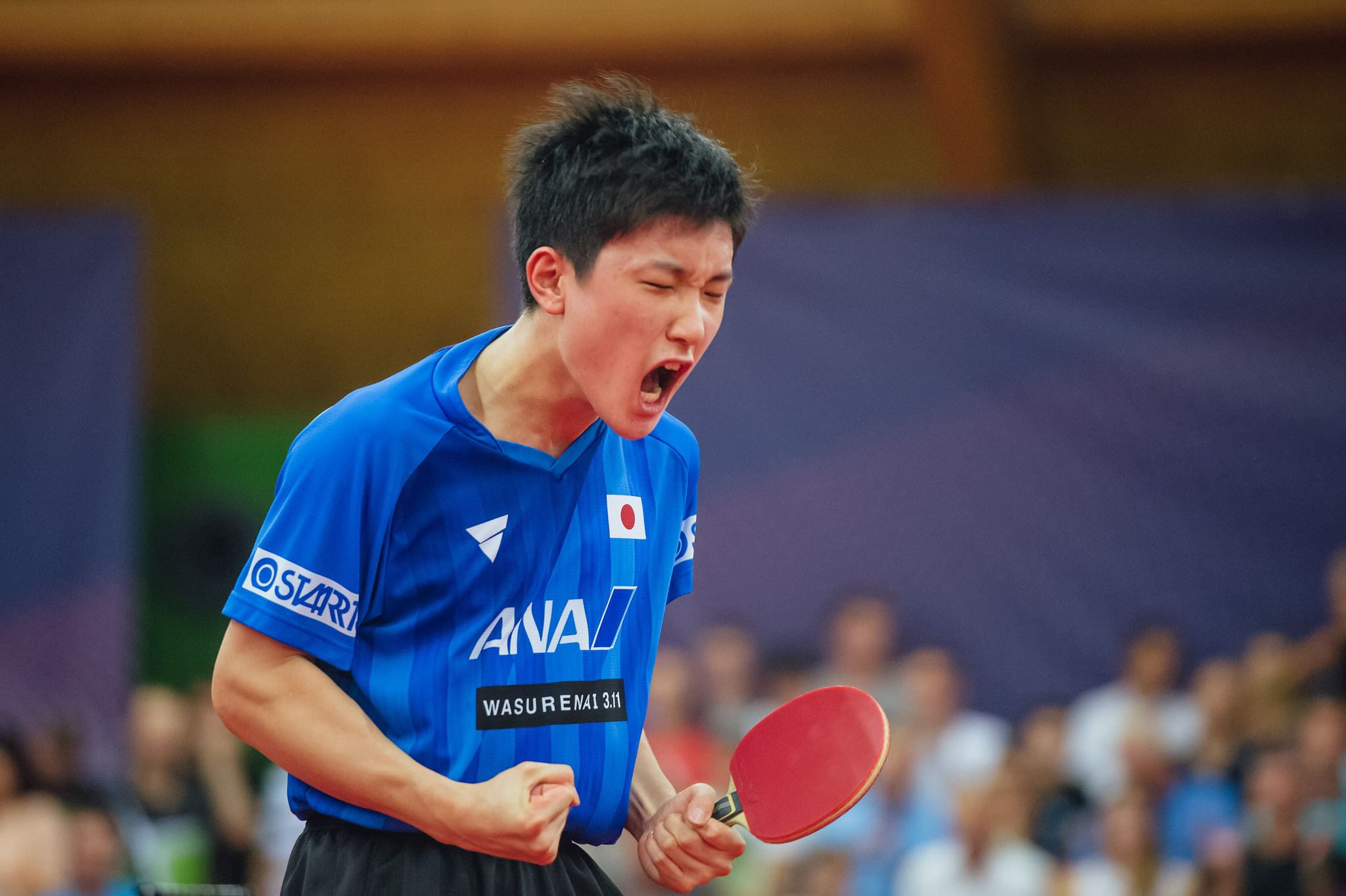 国乒派遣四将战捷克公开赛,国乒捷克站比赛