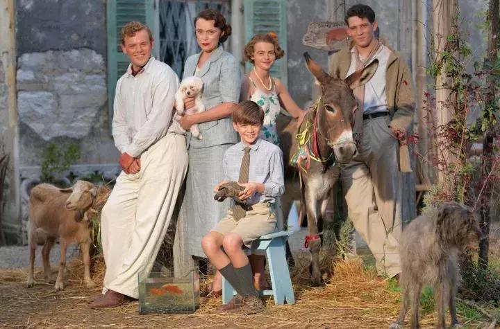 吾儿叛逆伤透吾心的《德雷尔一家》是如何变成评分9.6的豆瓣神剧