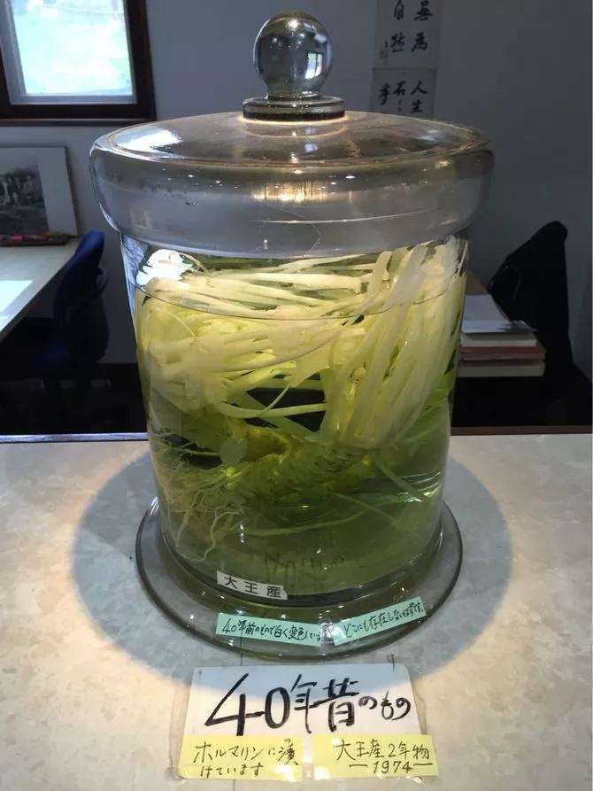 225亩公园能容纳多少人,225亩荒地