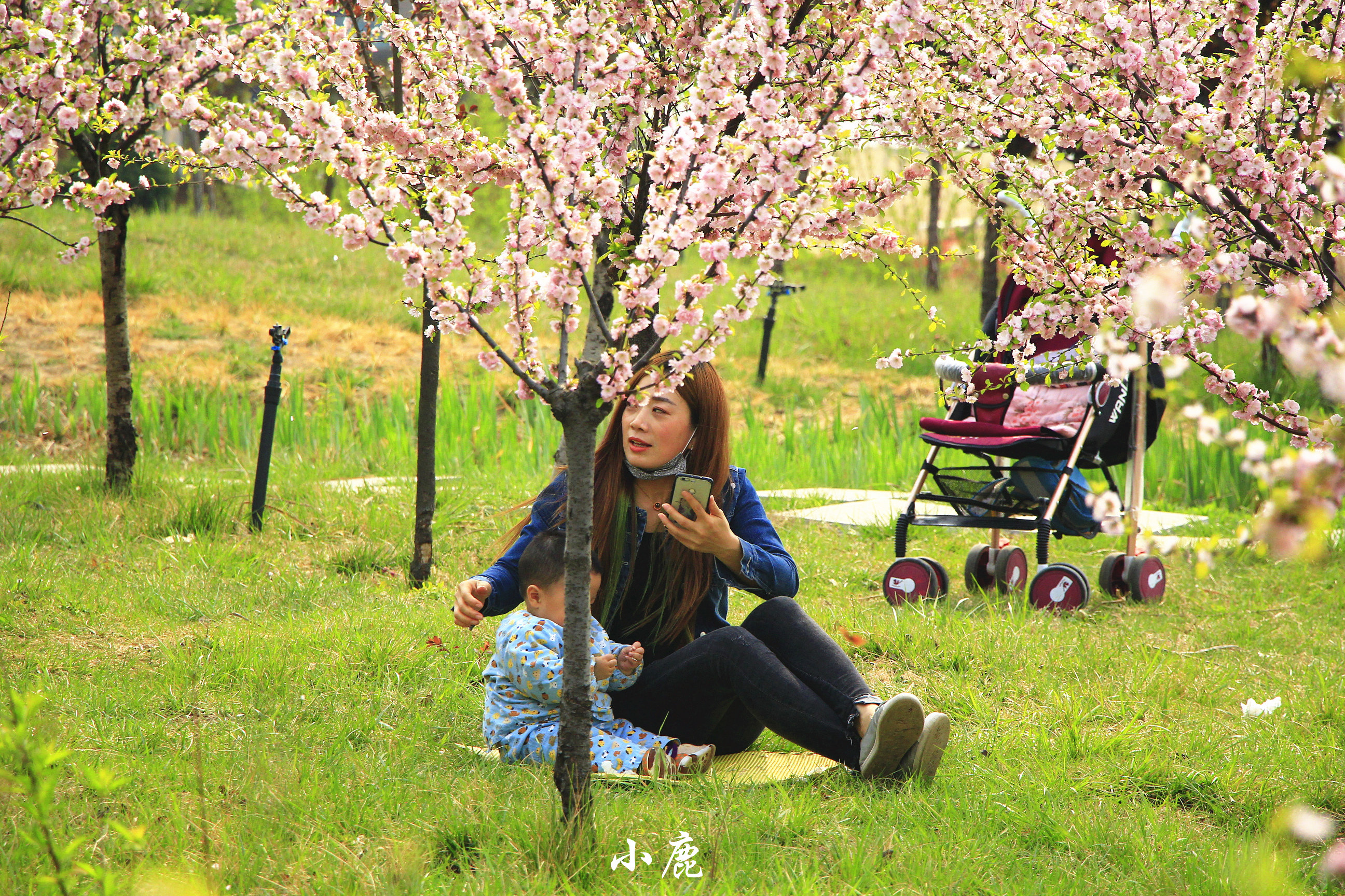 河南看海的地方旅游景点,河南看海旅游景点推荐