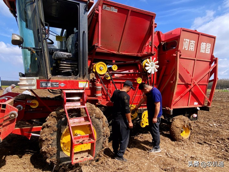 张兆生：德昌花生捡拾收获机不仅作业效率高，售后服务更值得称赞