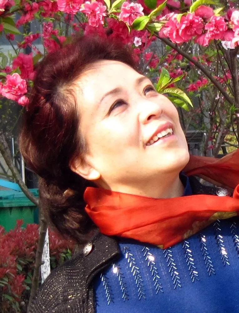 给武汉的一封信200字,给武汉的一封信高中