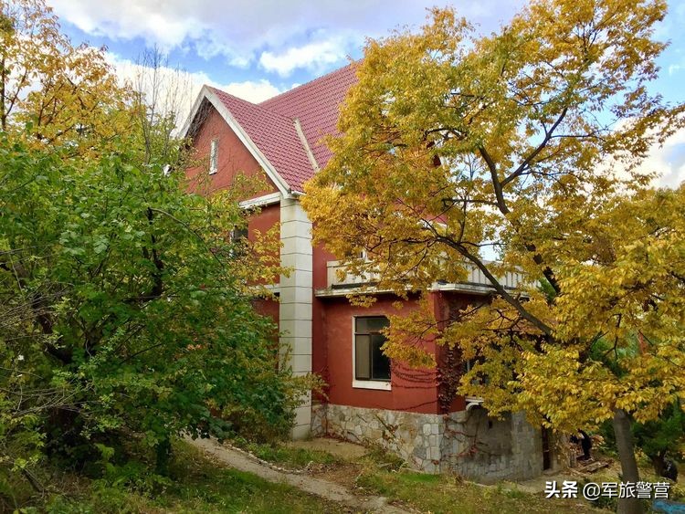 大连八七疗养院战友,大连市八七疗养院的故事