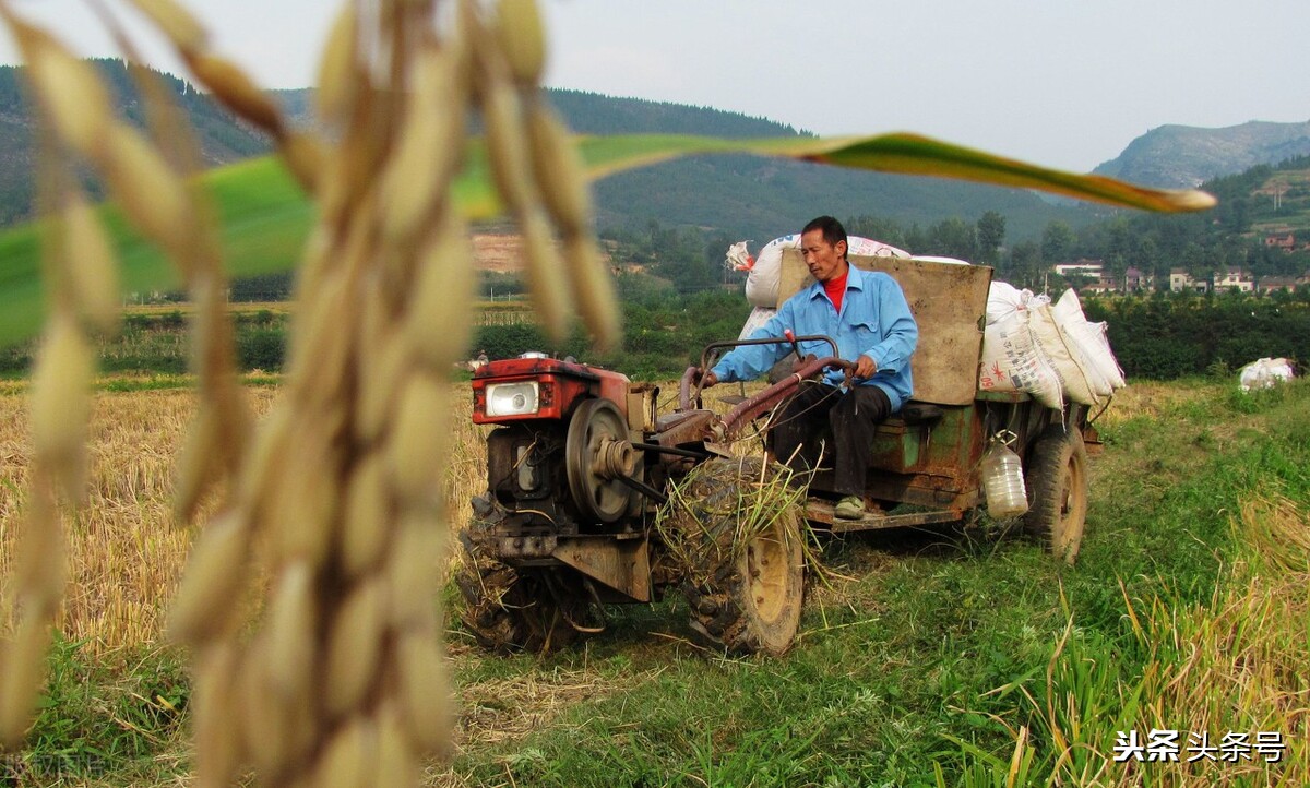 沈阳金牛手扶拖拉机,金牛手扶拖拉机