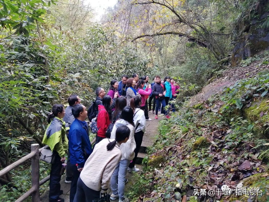 十堰新年,十堰春节哪些景区开放