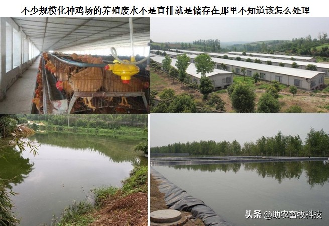 养鸡场鸡粪环保处理方法,养鸡场鸡粪污染治理设施