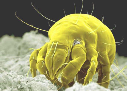 30岁长痘的原因,30岁脸上反复长痘去医院看什么科