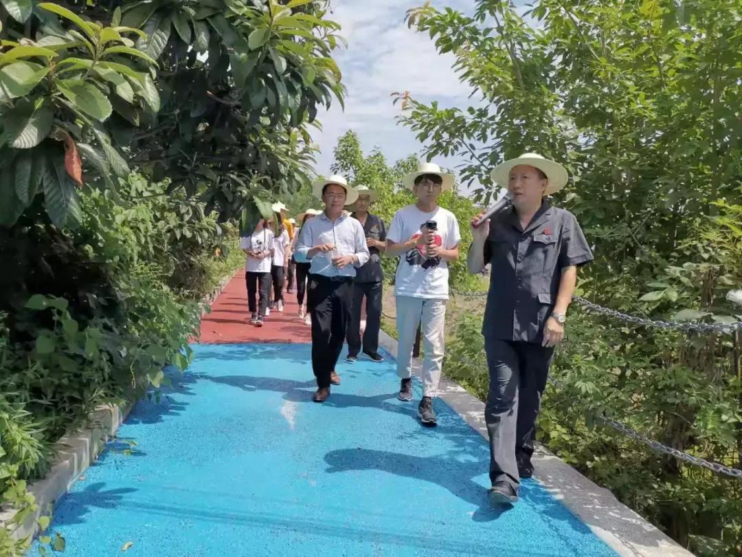 看,这就是大V眼中的中国法院!