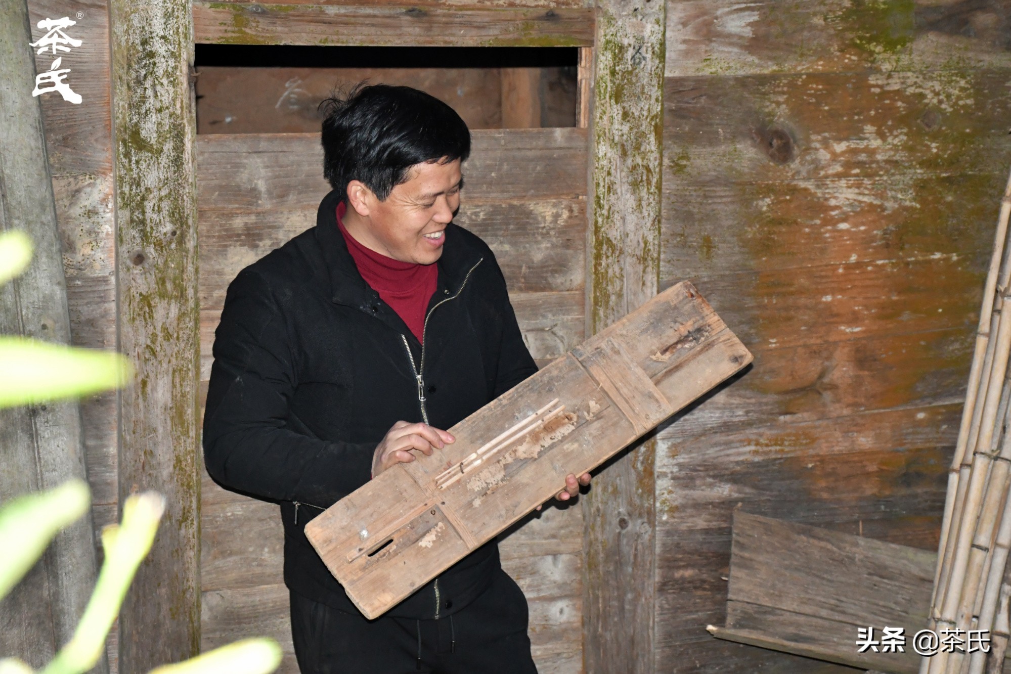 山居生活借山而居,徐州观心山居