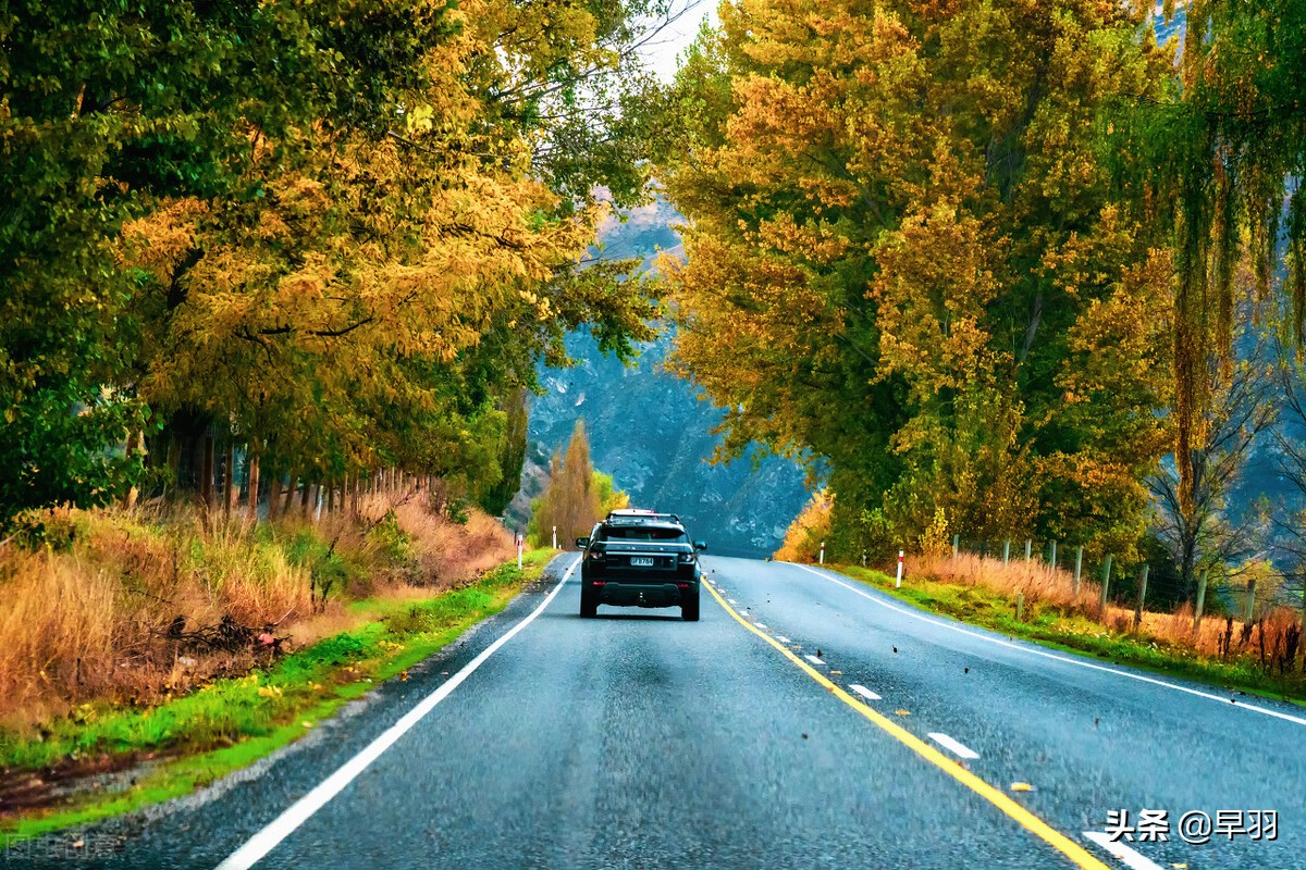 招商银行盈利能力分析2019,招商银行赚钱的方法