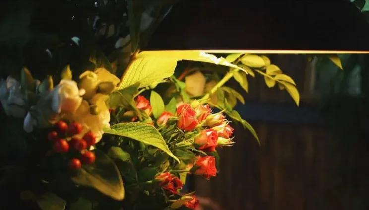 该承担的责任必须承担,责任必须承担的说说