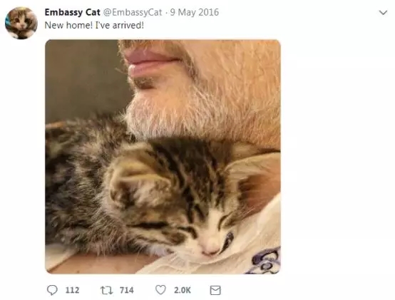 阿桑奇：好奇的眼睛绝不会干涸