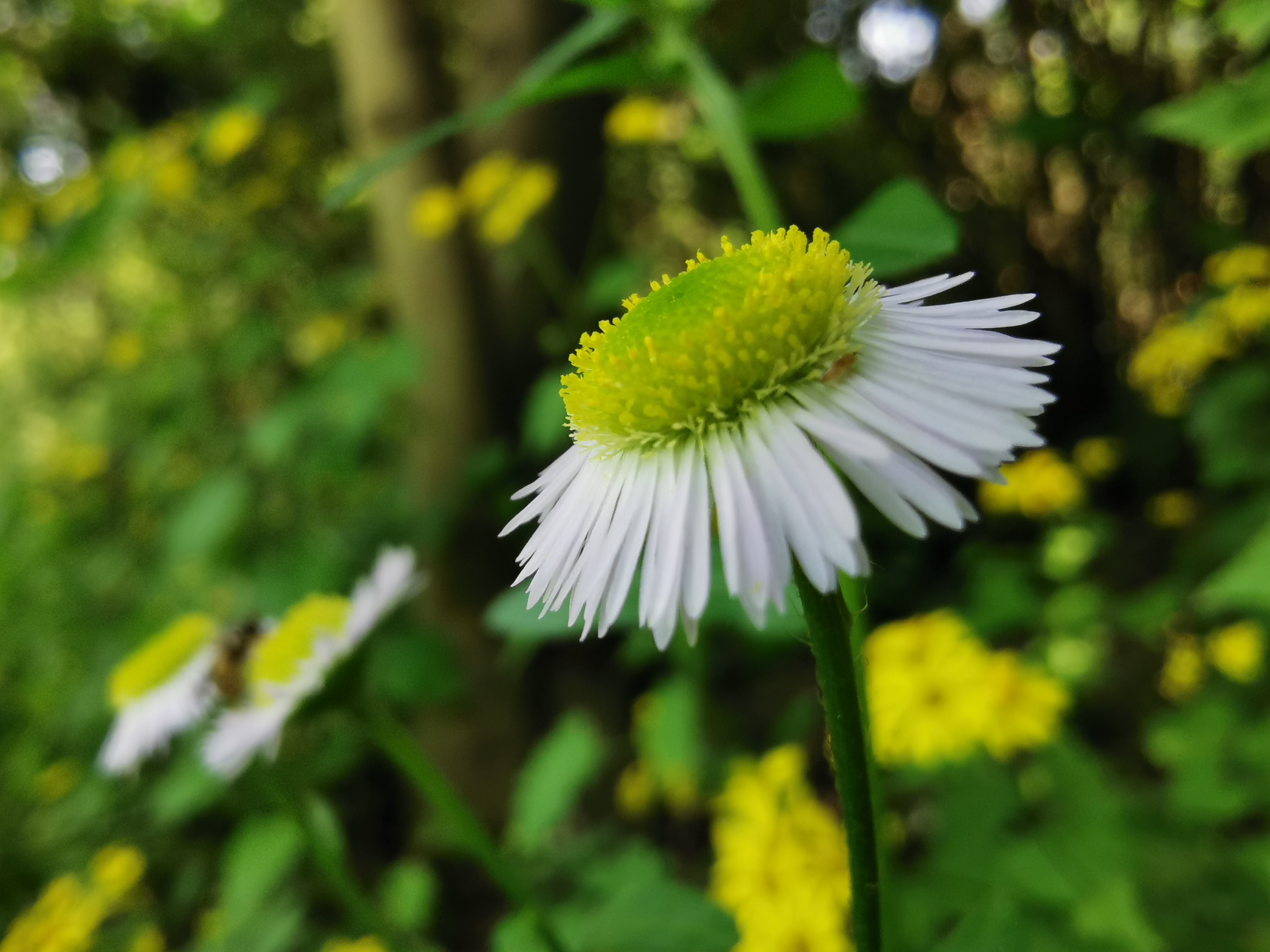 中医治疗内分泌失调有什么方法,总说内分泌失调到底是哪里失调