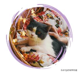 苏州平江路万达广场,苏州万达广场平江店