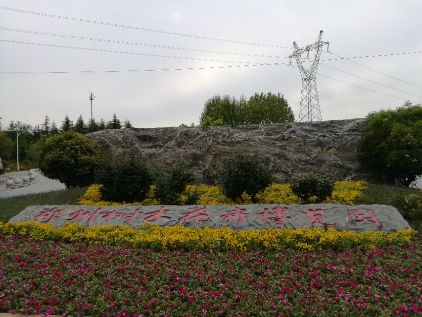 郑州树木园最新视频,郑州树木园现状