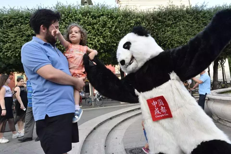 被熊猫宝宝萌哭的外国人,熊猫宝宝抱大腿萌翻全球