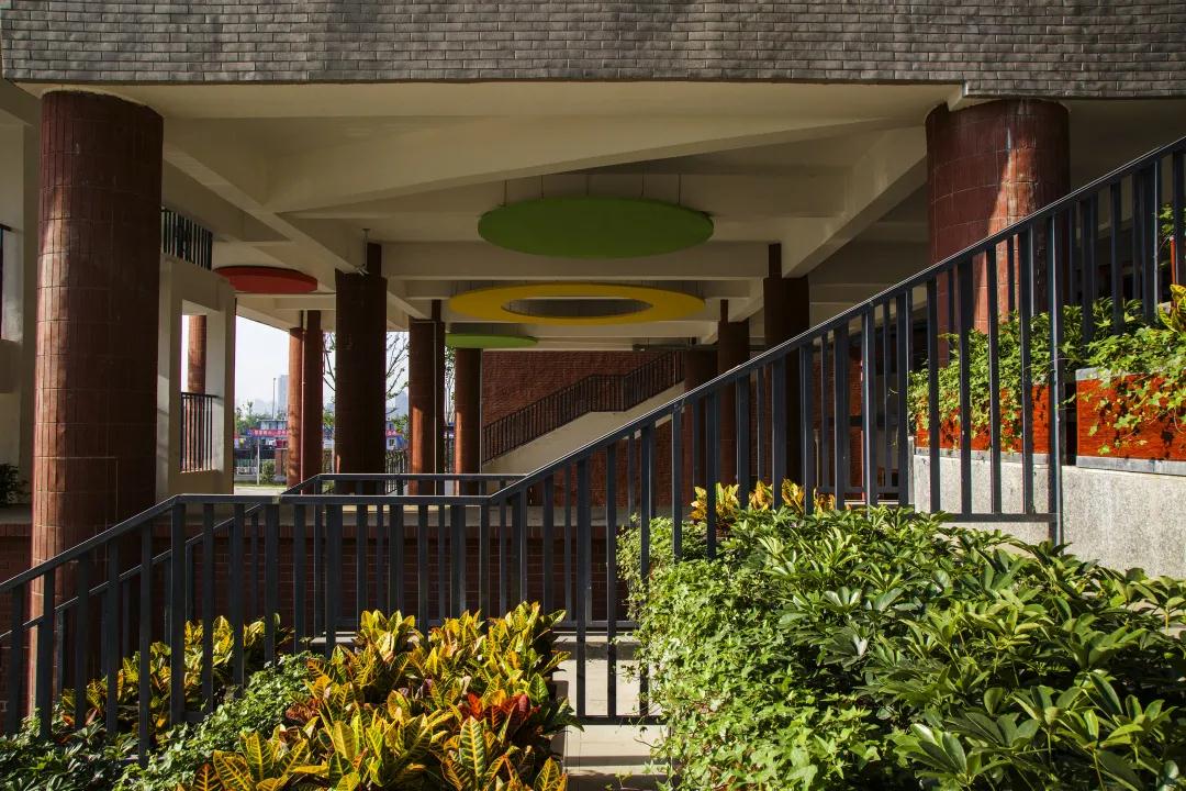 天府新区生活配套,成都天府新区教育配套