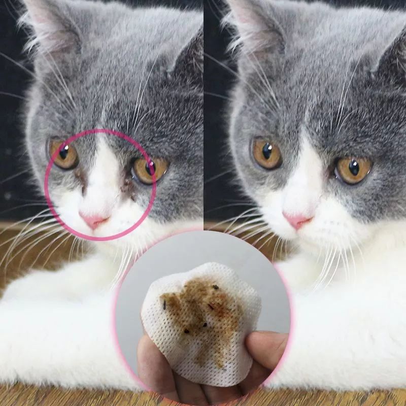 宠物泪痕消管用吗,爱宠的泪痕是怎么回事