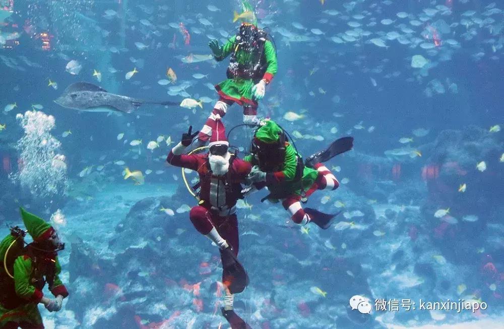 圣诞好玩活动,如何玩转圣淘沙岛