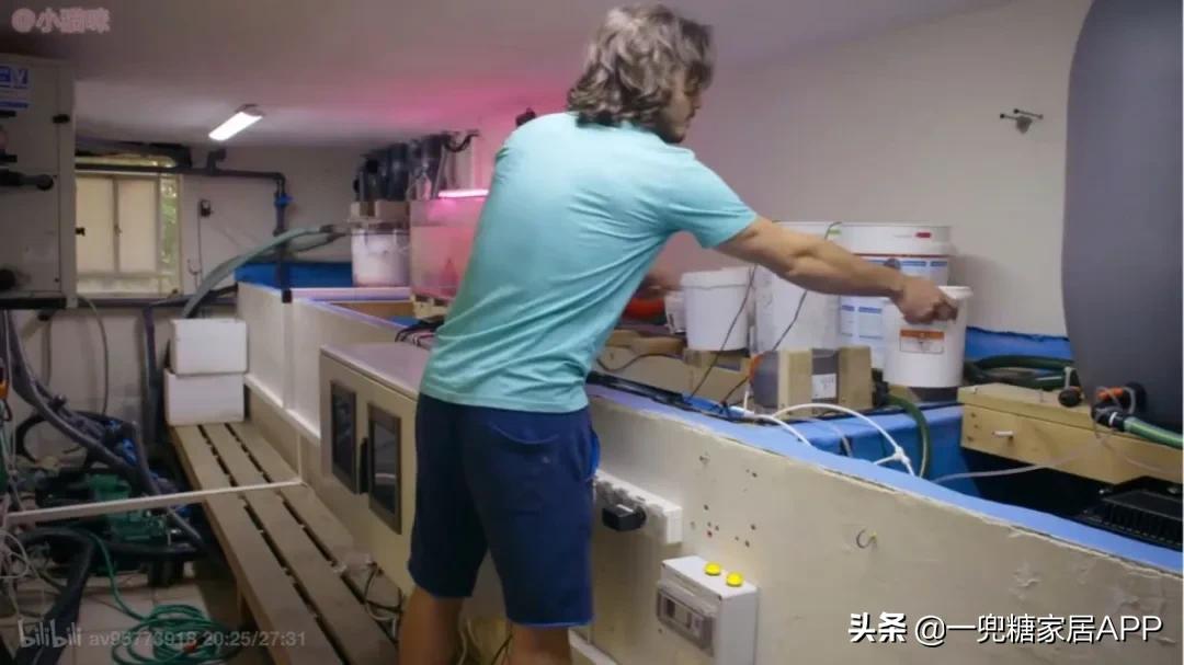 全国数万条家庭视频曝光,非典型纪录片