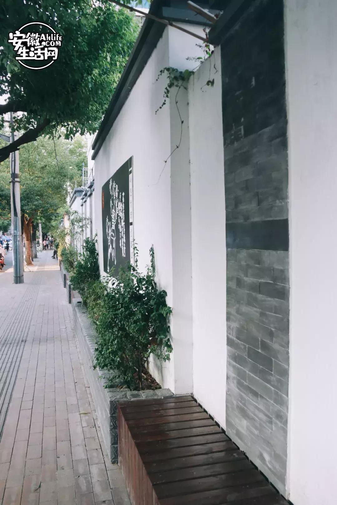 从“中隐于市”到“小隐于野”，合肥曙光路我还可以再逛N遍