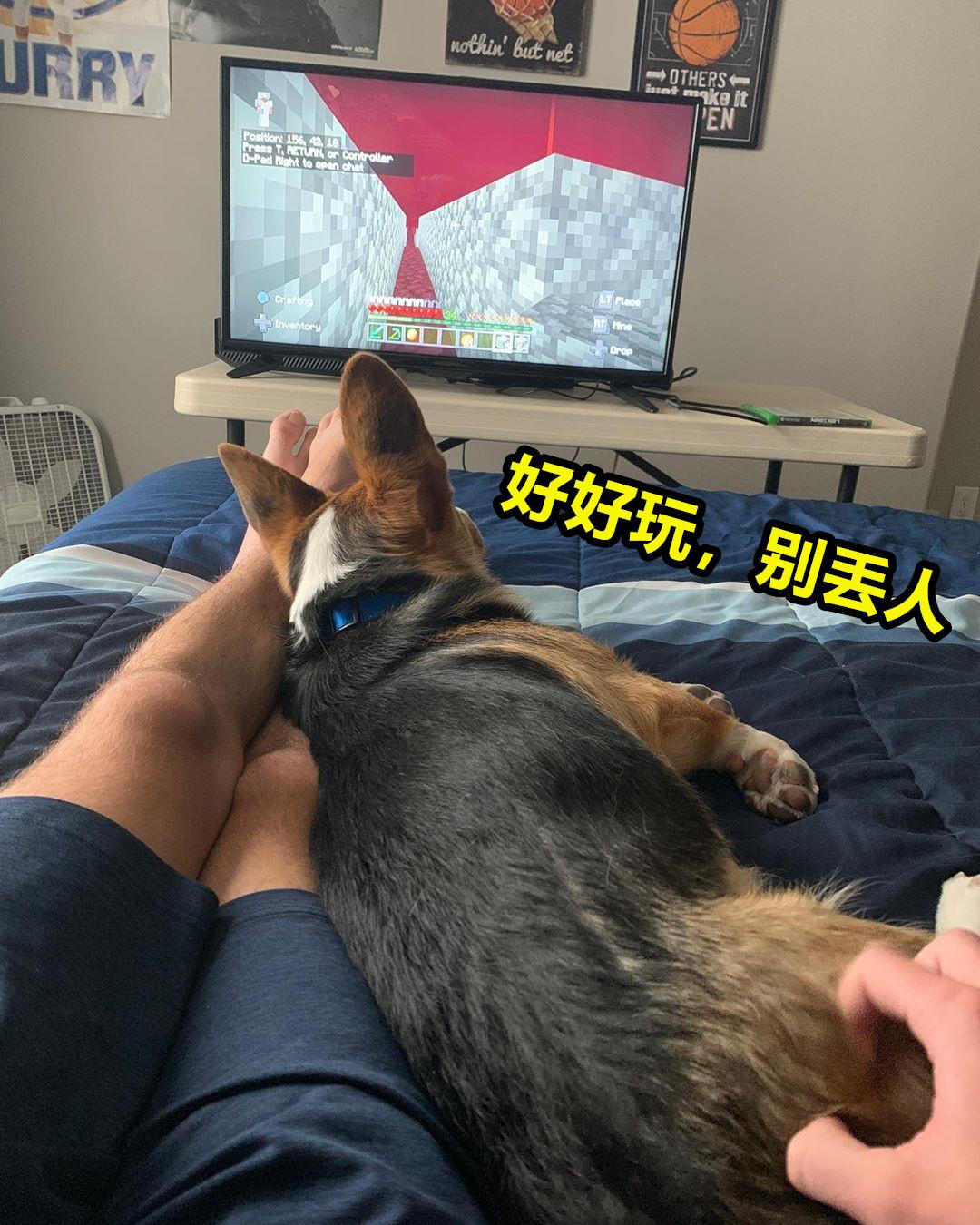 我的世界mc玩家们在池塘里养青蛙,我的世界养宠物模组推荐