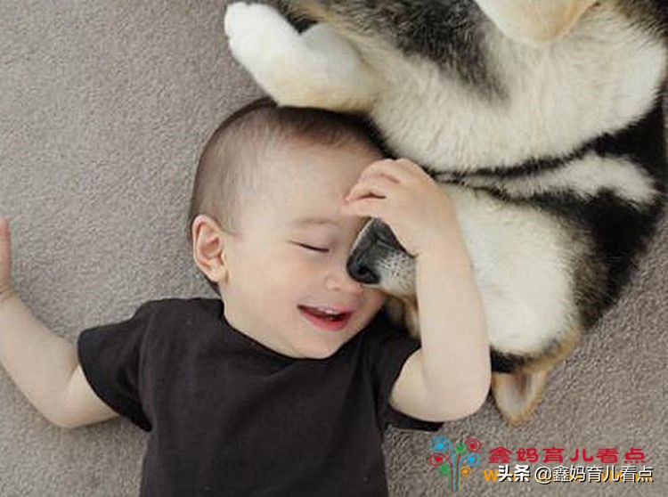 半岁以上宝宝发育,如何确定1岁半宝宝发育是否正常