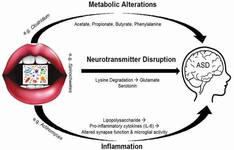 自闭症的菌群治疗,让爱来抚慰自闭的孩子