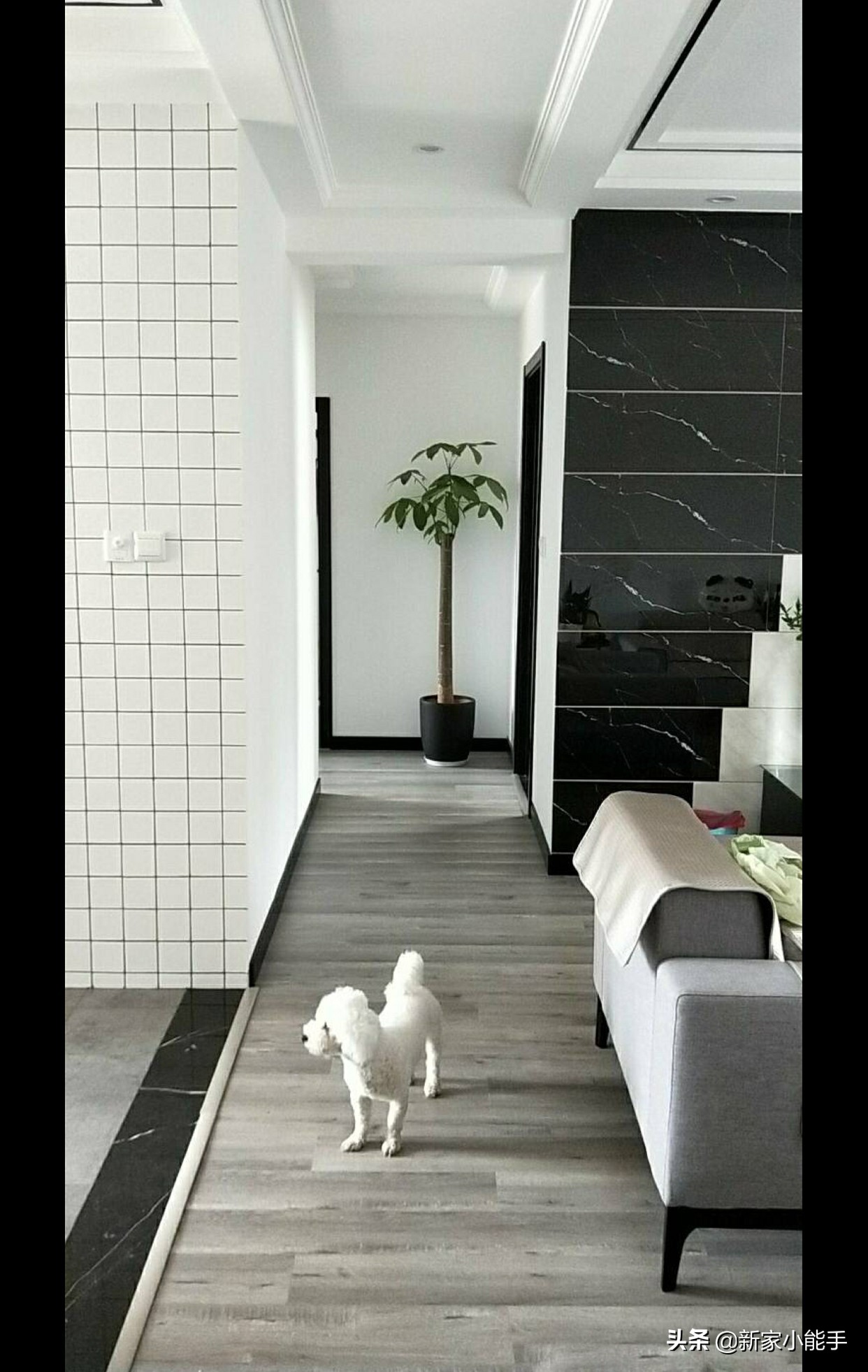 飘窗不做柜子装修设计,装修飘窗怎么改实用