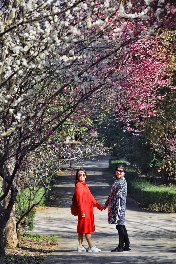 傅家边野营,走进金溪傅家村