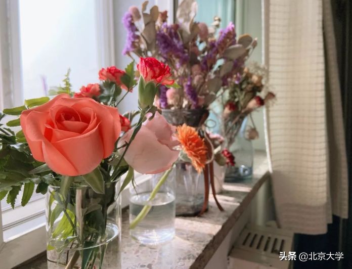 北大学霸的房间,北大宿舍都是学霸