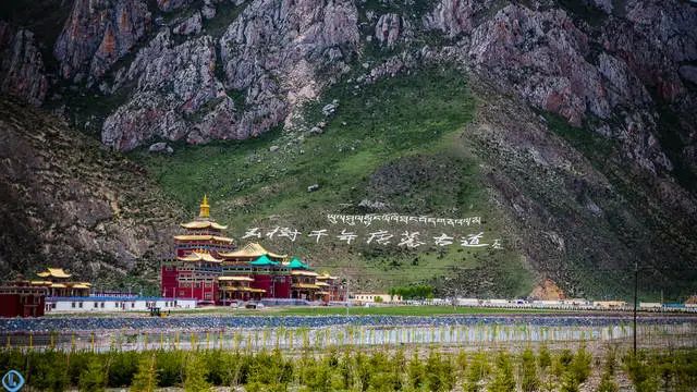 青海玉树最值得去的景点,青海玉树旅游哪里好玩
