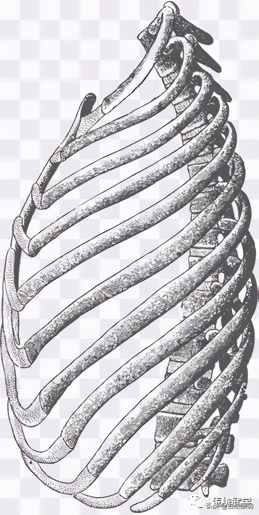 屈膝松胯含胸收腹,松腰落胯什么感觉