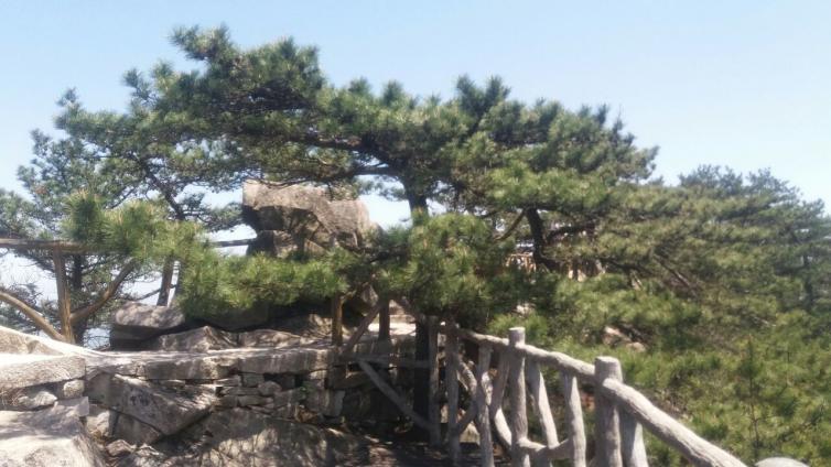 武汉周边自驾游景点排名前十名,武汉周边别墅度假村农家乐