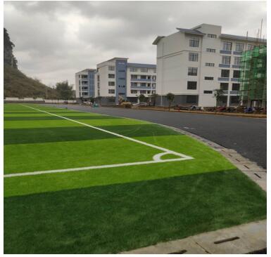 玉林市粤桂扶贫协作,贺州市粤桂扶贫协作取得成效