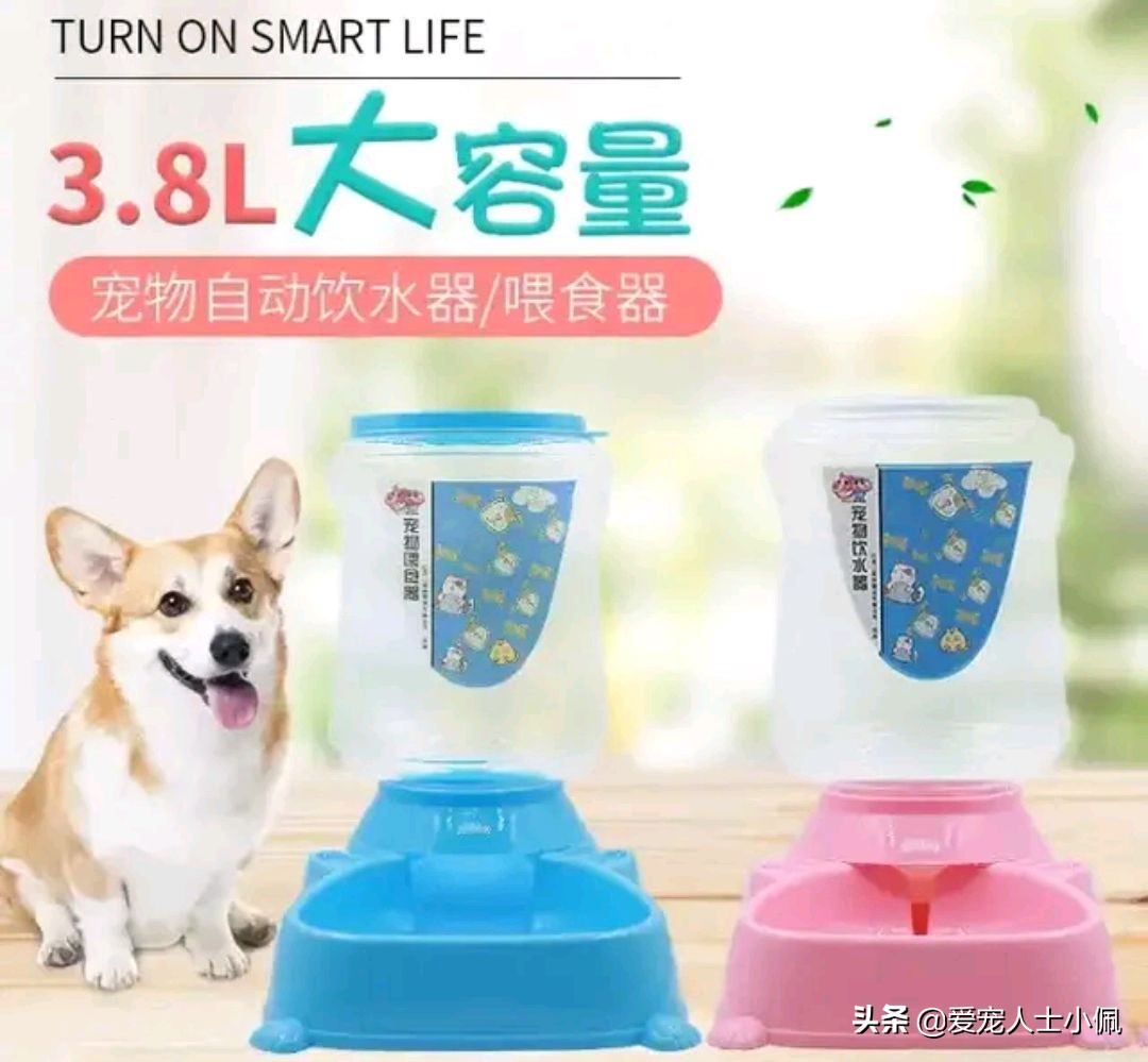 刚满月的幼犬能喝水吗,幼犬满月不拉不尿会死吗