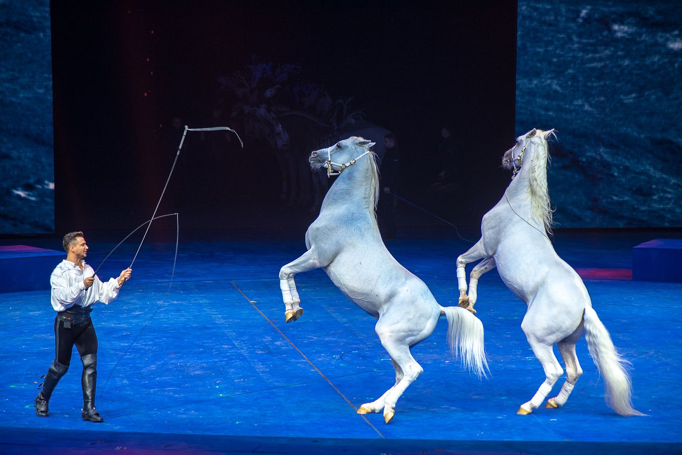 珠海长隆龙秀适合小朋友看吗,珠海长隆海洋王国值得打卡的地方