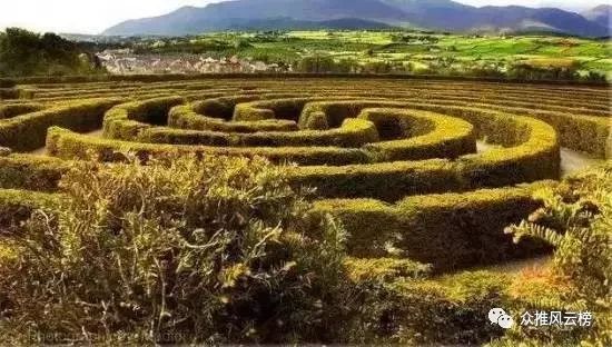 世界最大的迷宫在哪里,世界上排名第一的迷宫