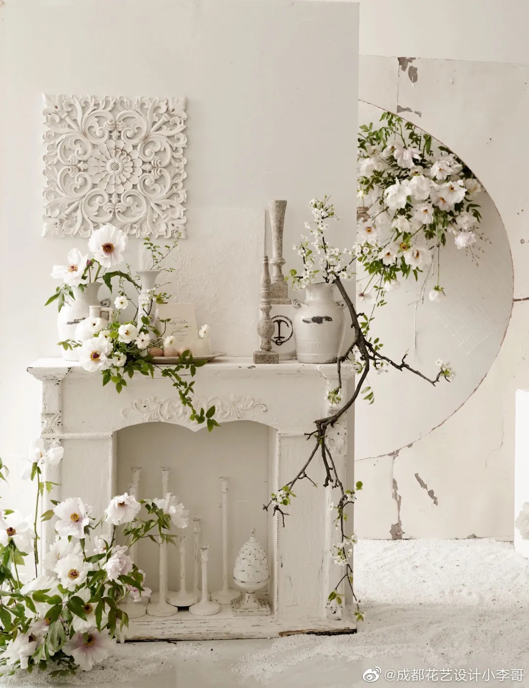 植库‖跟随仙气飘飘的油牡丹，追寻春天的步伐