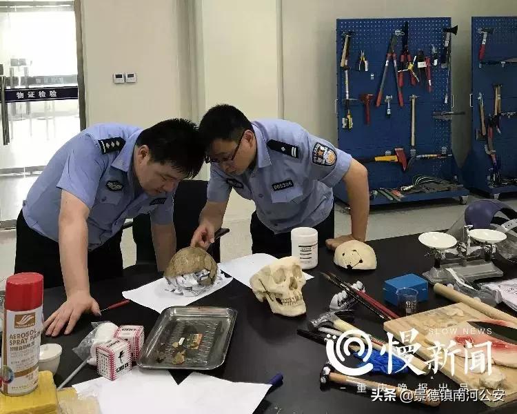 法医悬疑系列电影,10部好看的法医悬疑电影