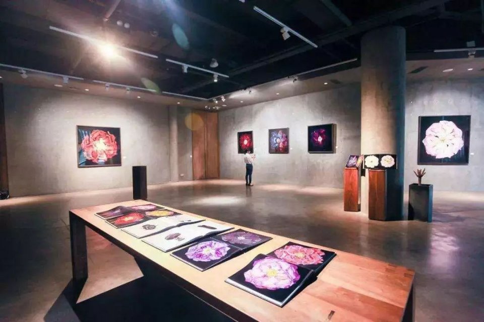 深圳爆发流感吗,深圳有没有大规模爆发疫情