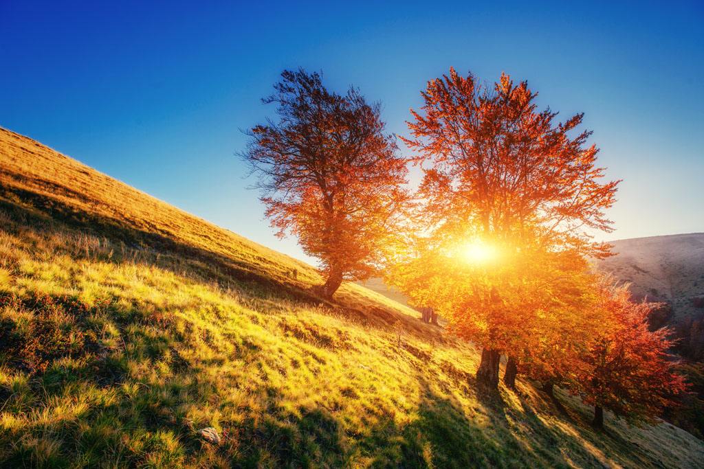 如果和女朋友分手了如何追她回来,女朋友说不合适分手怎么挽回