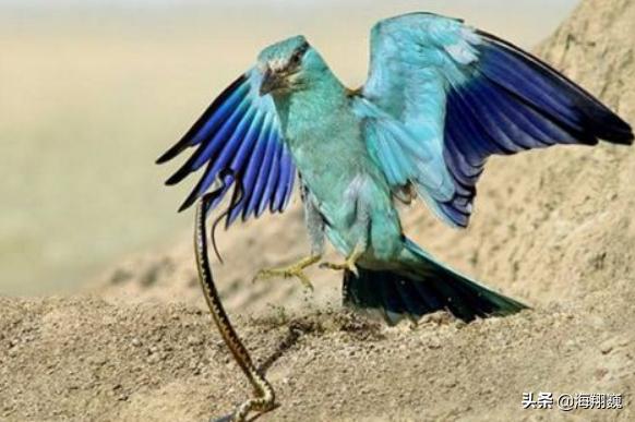 山海经第五卷小说,山海经第五篇